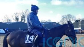 Elliott admits ‘awesome’ Galopin hard to top at Cheltenham
