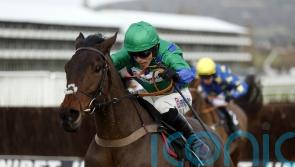 Nicholls excited by Cheltenham novice chase pair