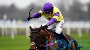 Nemean Lion heading for Champion Hurdle assignment