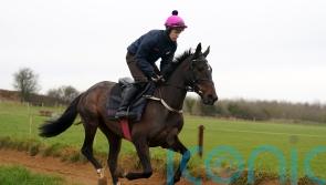 Dysart Enos delighting in countdown to Cheltenham