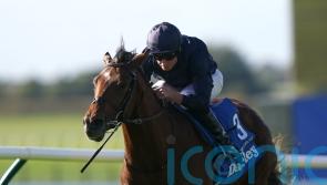 City Of Troy stars in initial list of Derby entries