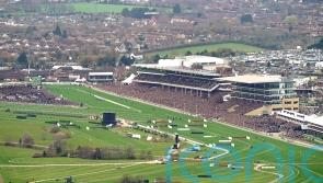 Soft going anticipated for start of Cheltenham Festival