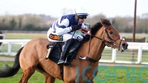 Derham happy to miss Cheltenham and wait with Givemefive