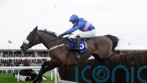 Williams taking watching brief on Festival run for Libberty Hunter