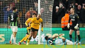 Wolves knock Brighton out of FA Cup thanks to early Mario Lemina strike