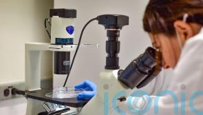 NHS ‘fast tracks’ new therapy for stem cell patients