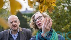 Greens should be kicked out of Scottish Government, Tory deputy leader to say