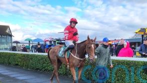 Blood Destiny records stylish Navan victory
