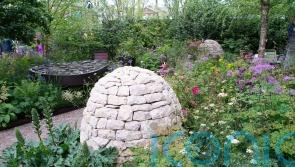 How are charity gardens at RHS Chelsea Flower Show funded? The sponsor helping good causes bloom