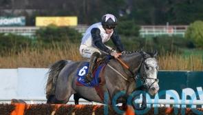 Champion Hurdle enters Elliott’s Irish Point reckoning
