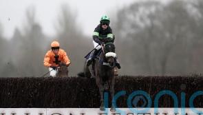 Kim Bailey salutes ‘complete star’ First Flow, as stable star retired