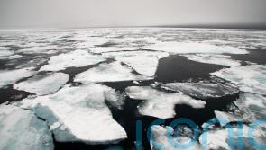 Arctic could see ‘ice-free’ days in next few years, study warns