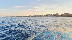 Flashing lights on fishing nets ‘reduce accidental catching of turtles’