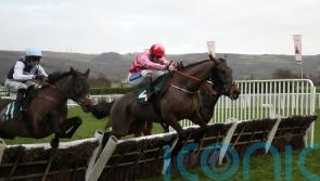 Murphy eyeing Imperial Cup tilt with Go Dante