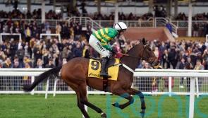 Henderson-trained Iberico Lord supplemented for Champion Hurdle