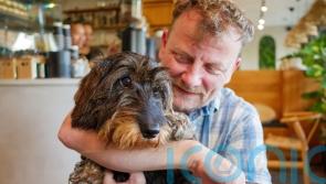 Dog thefts on the rise – how to prevent your pooch being pinched