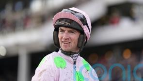 Team Mullins know how to celebrate Festival success
