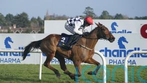 Ballyburn given Gallagher Festival target by Mullins