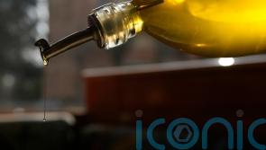 Third of Italians using less olive oil because of high prices, survey suggests