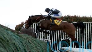 Tizzard team scoop Sandown double