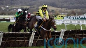 No problems with Sir Gino, says Henderson
