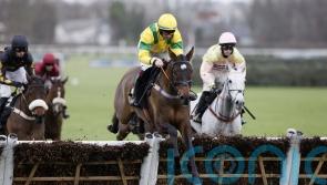 Rowley dreaming of Cheltenham glory after riding the storm