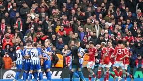 Brighton back to winning ways as Andrew Omobamidele own goal sinks Forest