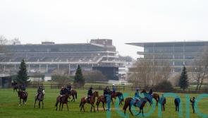 Soft ground expected for day one of the Festival