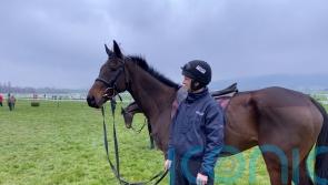 National Hunt Chase promises poignant result for Mullins family