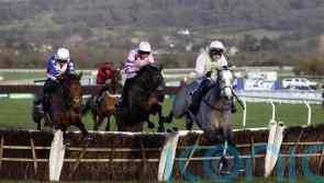 No trip concerns for Festival favourite Lossiemouth