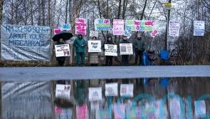 Abortion clinic buffer zones could see vigils criminalised, opponents claim
