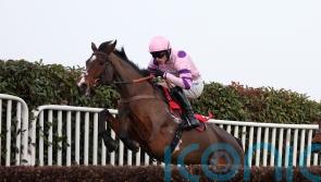 Nicholls expecting cheekpieces to ‘sharpen’ up Stay Away Fay