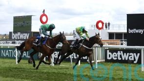 Henderson backing Jonbon to mount strong Champion challenge