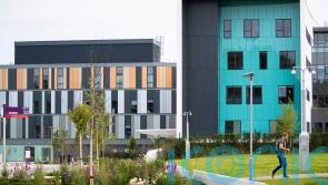 Delay to new hospital was due to ‘failure of governance’ – Freeman
