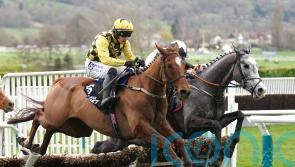 State Man makes no mistake in Champion Hurdle