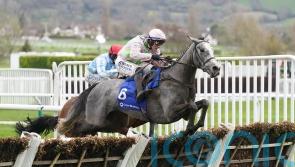 Lossiemouth proves far too good in Mares’ Hurdle