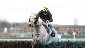 O&rsquo;Brien team hit hard by death of Highland Hunter