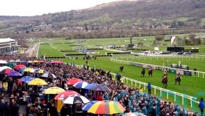 Cross-Country Chase abandoned at Cheltenham