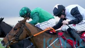 Hopes high Teahupoo has what it takes for Stayers’ Hurdle gold