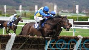 Langer Dan repeats Coral Cup victory for Skelton team