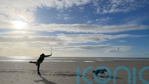 Quality time with dogs can reduce stress and anxiety – research