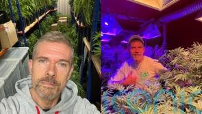 ‘Master greensmith’ makes life-like cannabis props for TV and film such as The Gentlemen and has even had police visit