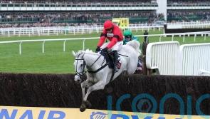 Grey Dawning sees off Ginny’s Destiny for Turners prize