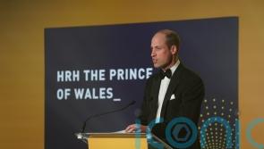 Harry, William separately praise Diana’s legacy for charity’s 25th anniversary