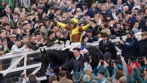 Galopin Des Champs unstoppable in Gold Cup march