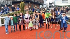 Adamantly Chosen halves in price for National with Down Royal win