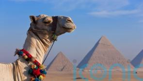 A first look at the Great Egyptian Museum, set to be the most exciting opening in modern times