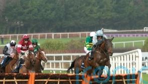 Kargese and Telmesomethinggirl delight Kenny Alexander team at Cheltenham