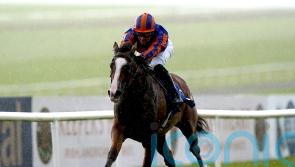 Opera Singer ‘more unlikely than likely’ to make Newmarket