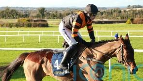 Rockett-powered Mullins contender has Irish handicapper ‘shaking in his boots’